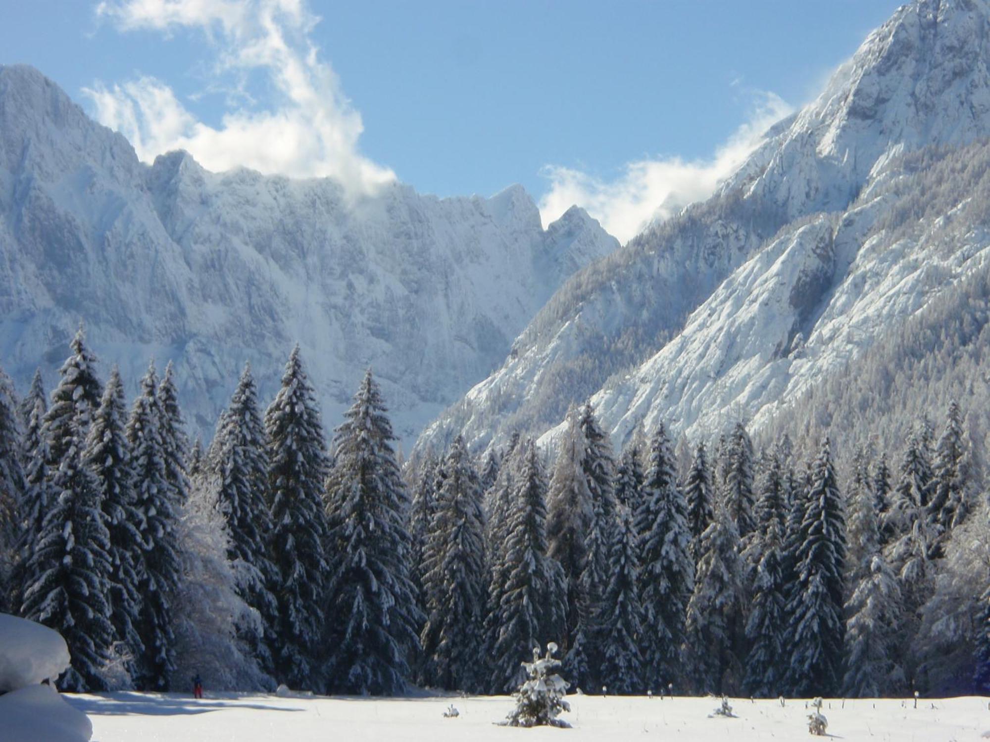 Tempfer 2 Apartments & Rooms With New Wellness Kranjska Gora Exterior photo