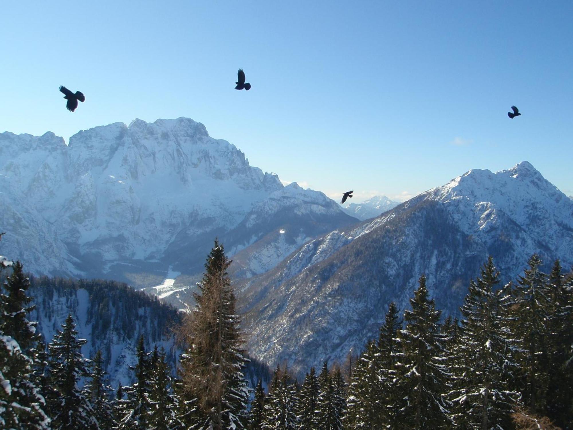 Tempfer 2 Apartments & Rooms With New Wellness Kranjska Gora Exterior photo