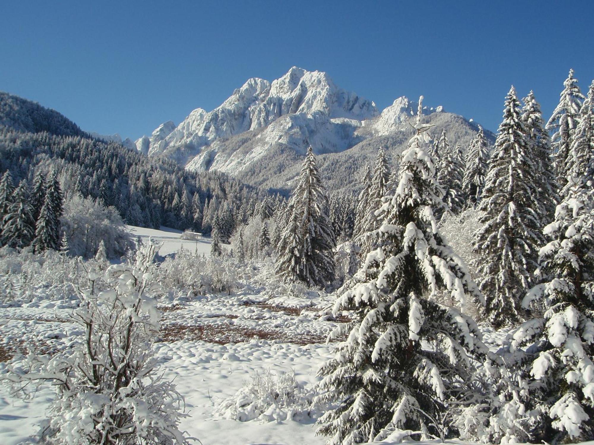 Tempfer 2 Apartments & Rooms With New Wellness Kranjska Gora Exterior photo
