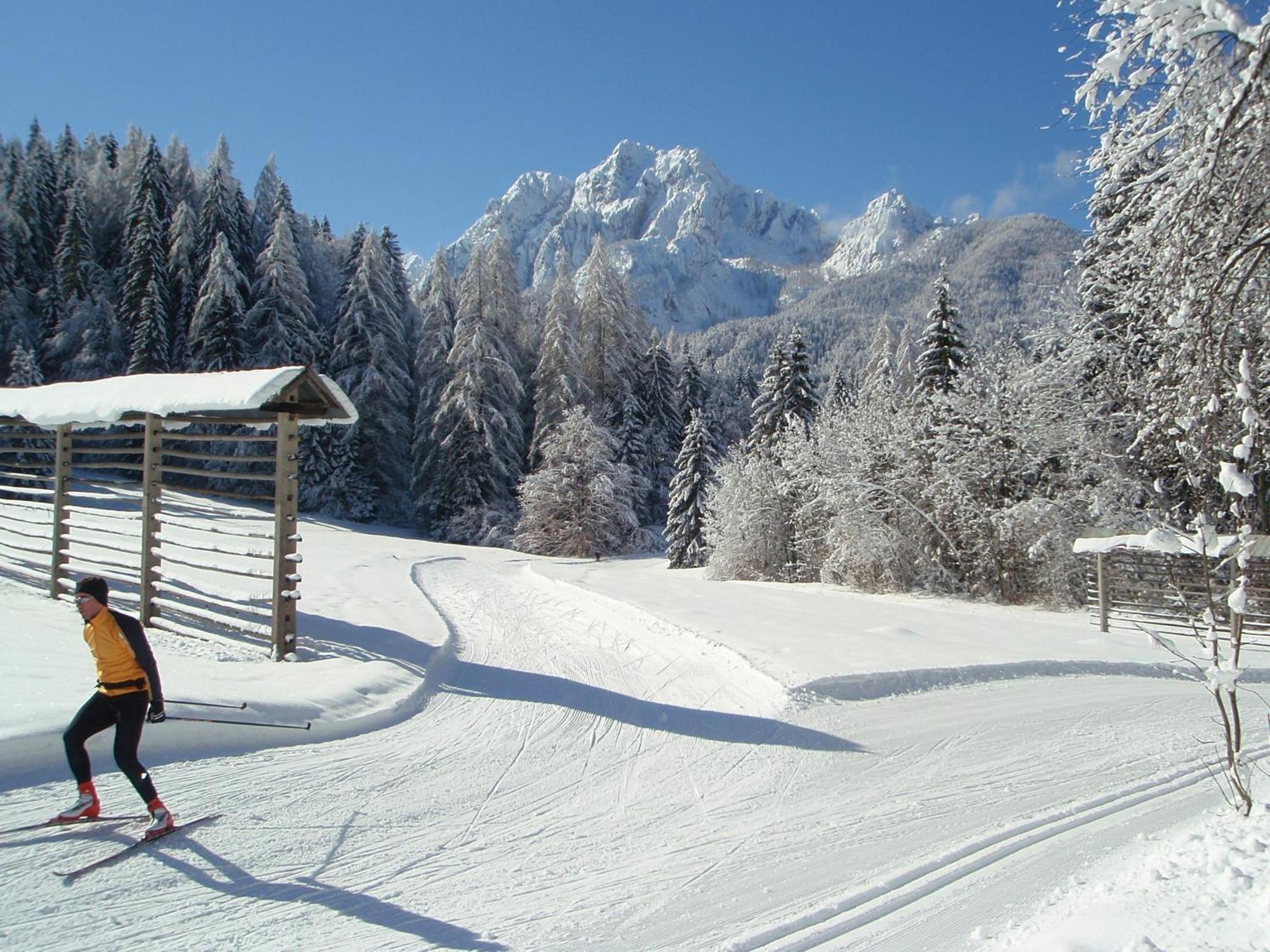 Tempfer 2 Apartments & Rooms With New Wellness Kranjska Gora Exterior photo