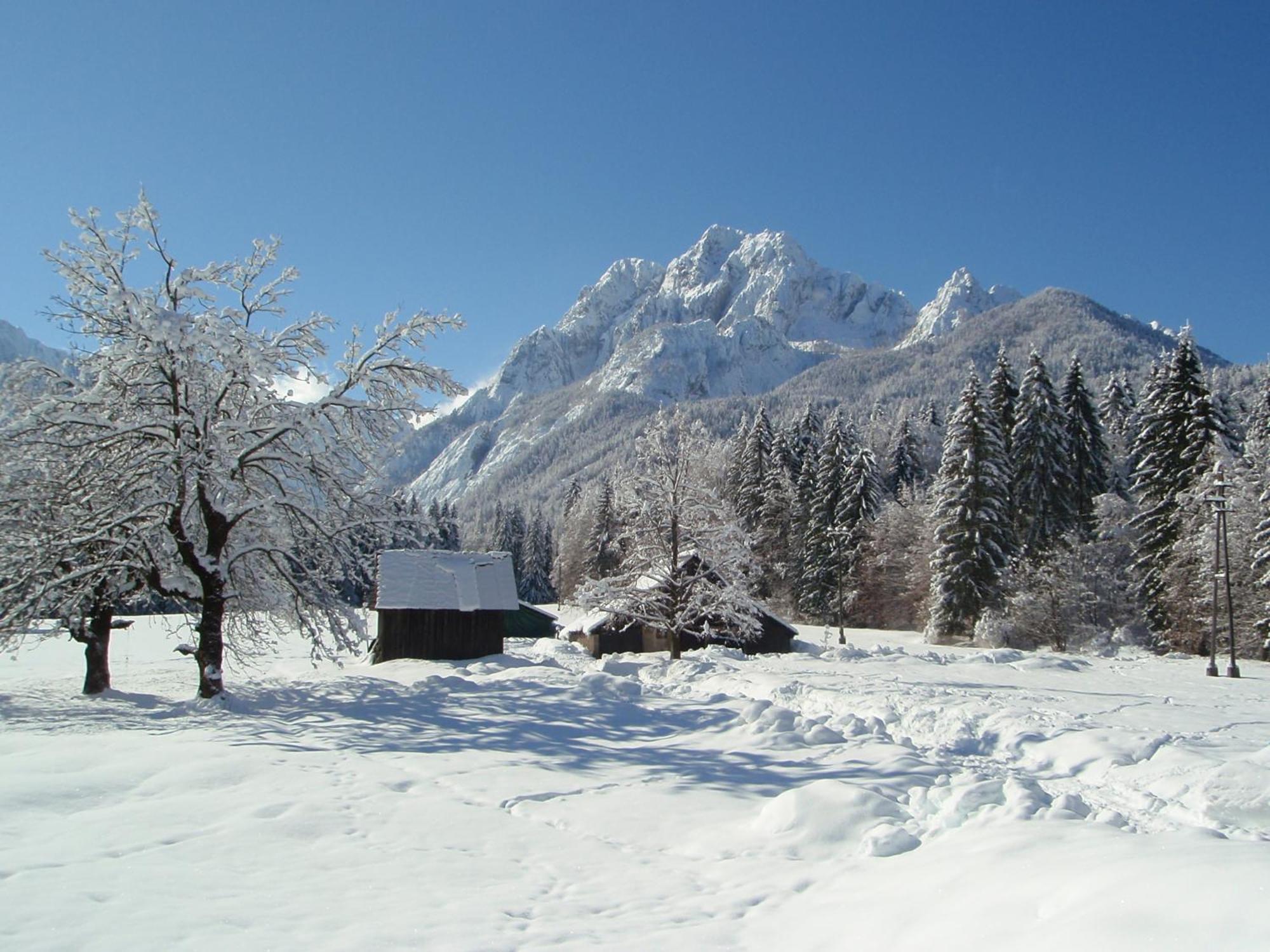 Tempfer 2 Apartments & Rooms With New Wellness Kranjska Gora Exterior photo